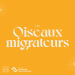 Les Oiseaux Migrateurs